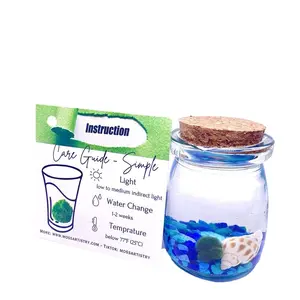 Marimo moss ball kit 3PCS designed as gift for single moms 60 days guarantee of free placement Decor Glass   Decorative Plant Nature