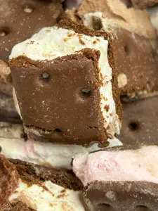 Freeze Dried Neapolitan Sandwiches