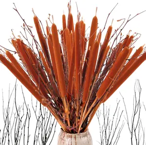NortureFlora 50PCS Natural Dried Cattails & Birch Twigs - 17in Rustic Brown Stems & Branches, Vase Filler for DIY Floral Arrangements, Home Decor Craft Supplies