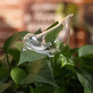 Elegant Automatic Glass Plant Watering Stakes - Self-Watering Irrigation Globes for Effortless Plant Care and Hydration NONE