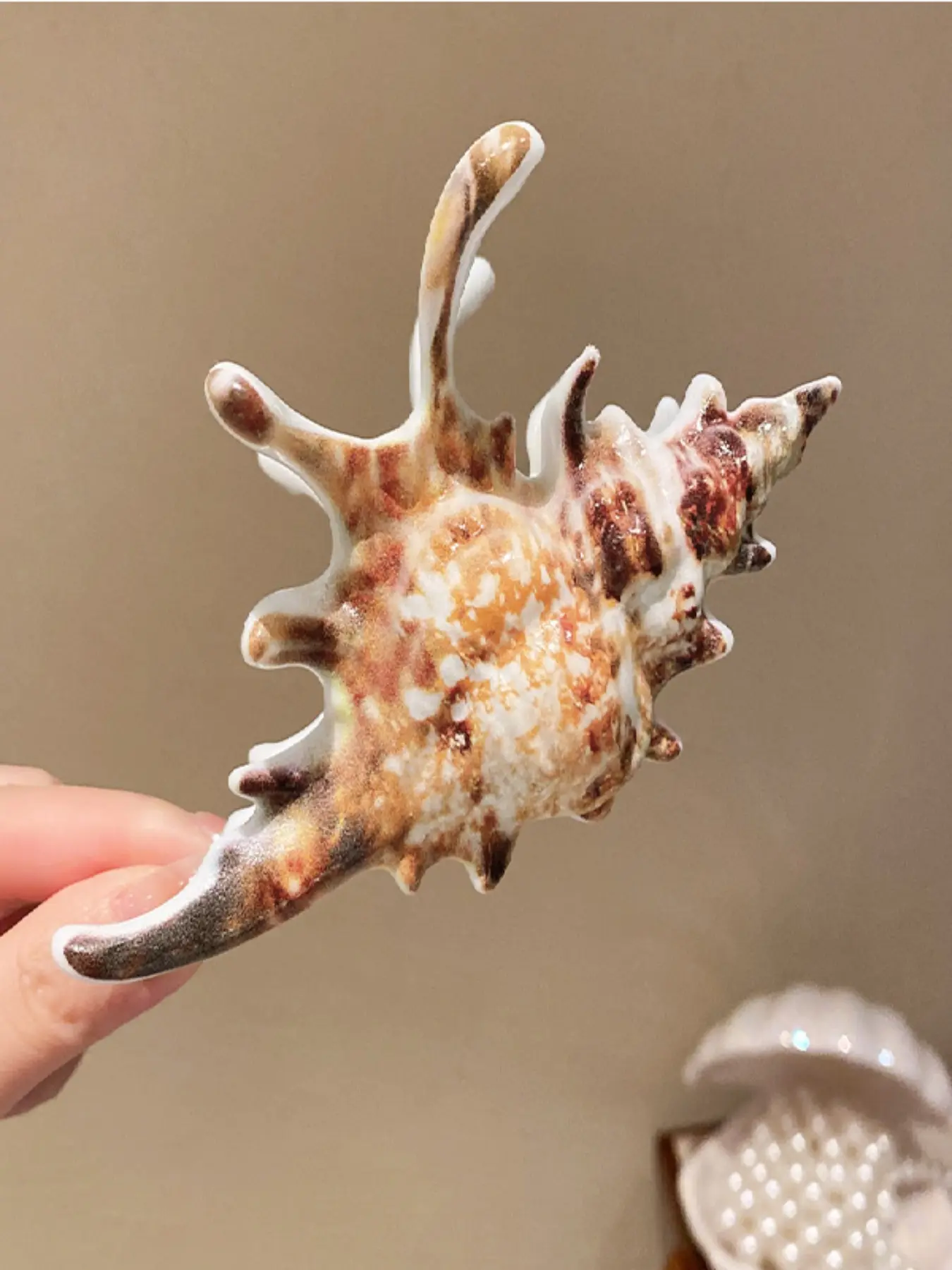 1pcs New Large Seashell Hair Clip, Cute Teenage Hair Accessory, Tropical Hair Accessories, Fashionable Shark Mouth Design, Unique Personality Hair Clip, Hair Claws, Hairclips