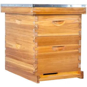 BeeCastle Beehive Without Logo 8 Frame Beeswax Coated Deep Cedar Wood Bee Box, Medium Cedar Wood Box Unassemble Hive Include Pine Wood Frame And 100% Beeswax Plastic Foundation