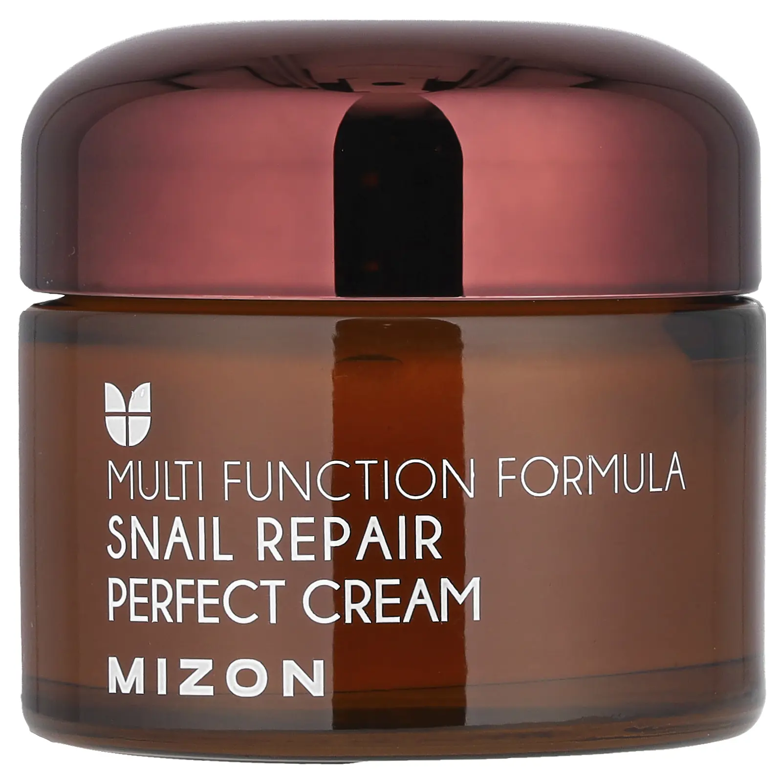 Mizon Snail Repair Perfect Cream, 1.69 fl oz (50 ml)