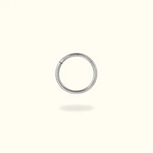 Titanium 16g Plain Hinged Ring