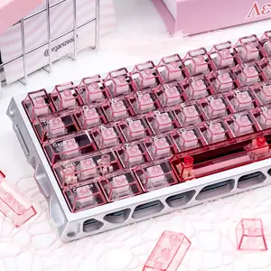 Custom Pink Jelly Keycaps 157 Keys | Cherry Profile PC Clear Set | Fits MX 60% 65% 75% 100% Layout Mech Keyboard,Perfectly Fits Cherry Gateron MX Switches