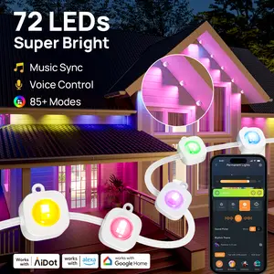 Linkind Permanent Outdoor Lights HP2, 100ft Smart AI RGBTW Christmas Lights, 85 Scenes Modes for Daily Holiday Christmas Decorations,IP67 Waterproof, Compatible with Alexa,Google Assistant