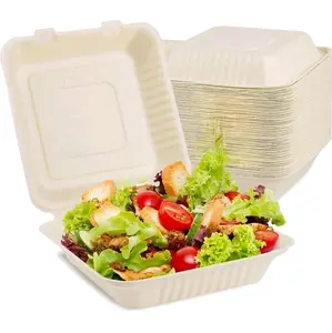 100-Pack Eco-Friendly Sugarcane Fiber Compostable Clamshell Containers - 9x9 Inch, 1 Compartment, Natural Bagasse Disposable Food Storage for Take-Out & To-Go