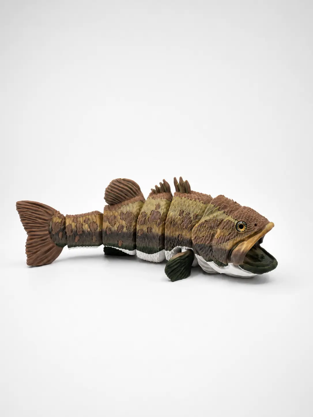 Bass