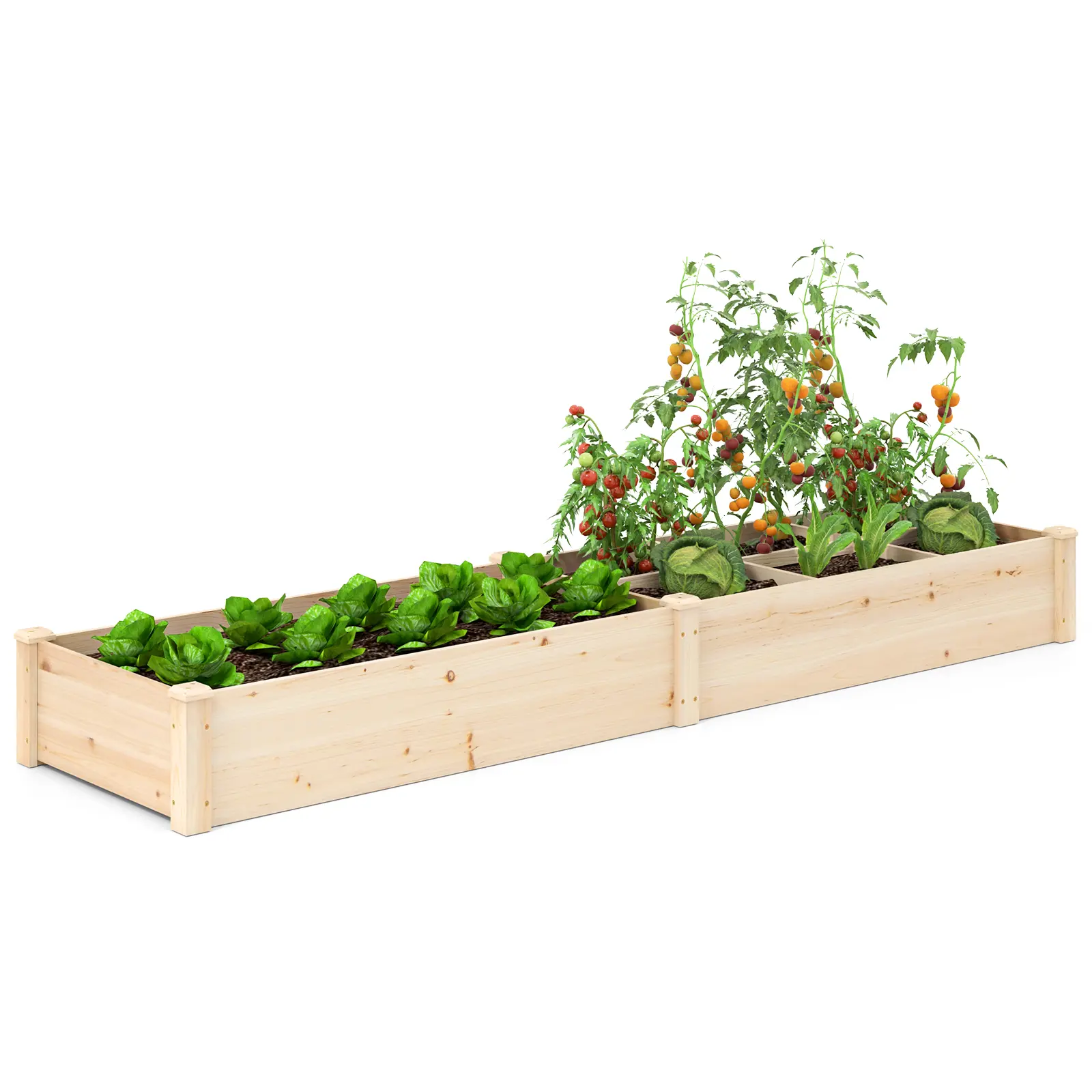 COSTWAY - Wooden Raised Open-Ended Base Garden Bed with 2 Planter Boxes Divider-Natural