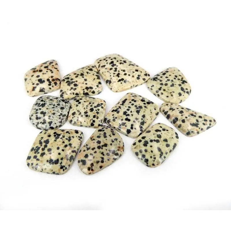 Dalmatian Jasper Cabochon