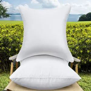 20 x 20 Outdoor Throw Pillow Inserts Set of 2  Square  Decorative Couch Pillow Stuffers Form Large White Sofa Cushions Indoor