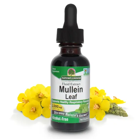 Nature's Answer Alcohol-Free Mullein Leaf 1 Ounce Extract 2000mg Supports Respiratory Function & Lung Health Made in USA Non GMO Gluten Free Cruelty Free Healthcare Supplement - Fitness