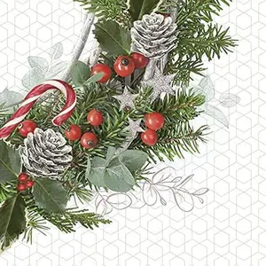 Christmas Napkins Poinsettia Decorative Xmas Paper Decoupage Napkin #2145