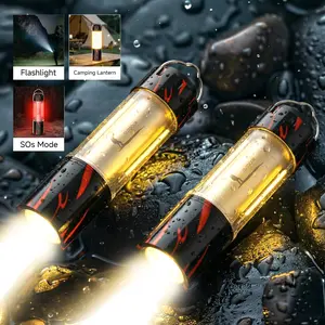 2PC Retractable Camping Flashlight, Ultra-Bright  High-Lumen Spotlight Mode Ideal for Camping, Night Fishing, Power Outages, Backyard Gatherings, and Everyday Home Use USB Rechargeable Lightweight and Durable