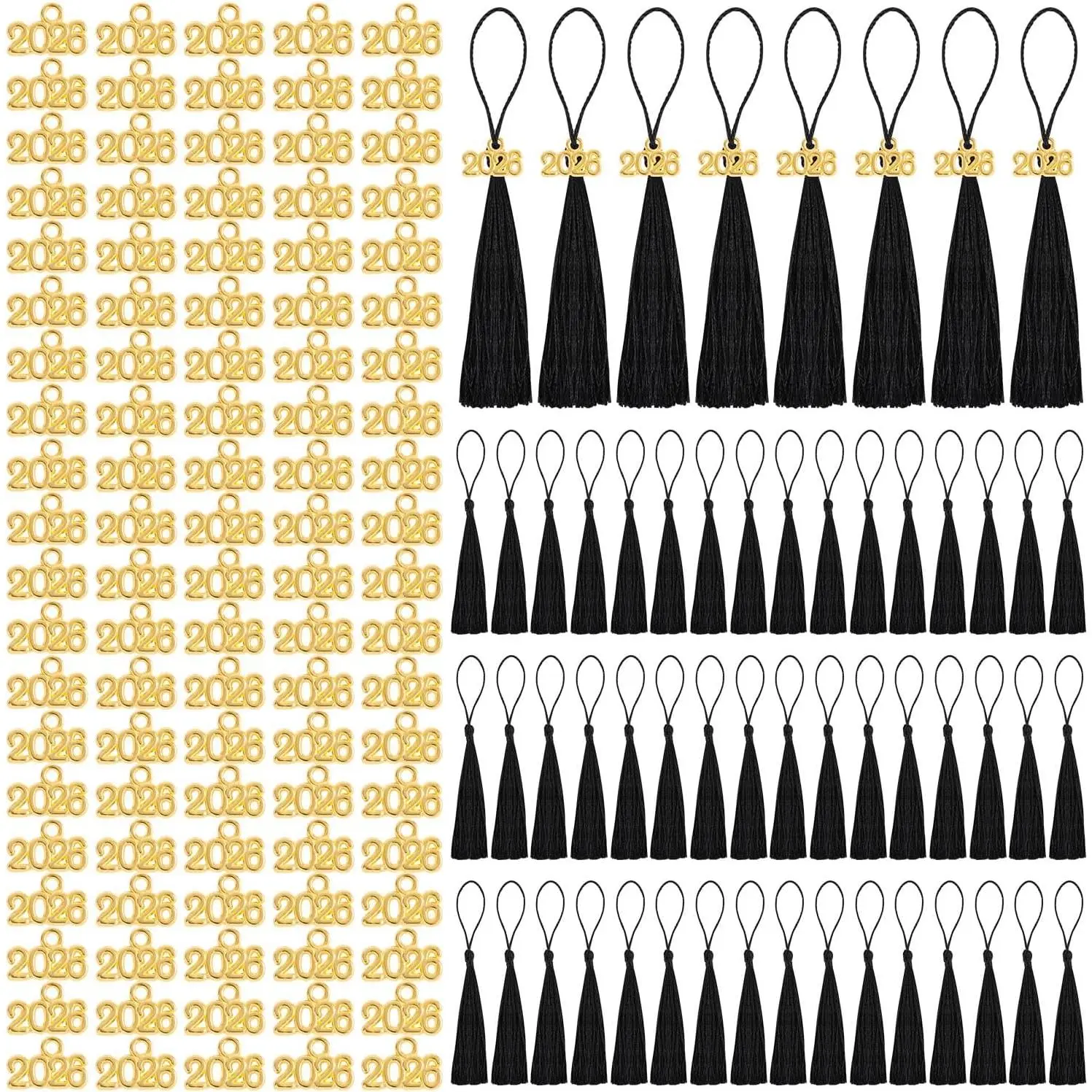 Mini Graduation Tassels,100PCS Academic Graduation Cap Hat Tassel with 2026  Charm for Crafts Mini Silky Bookmark for Graduated Cap  Ornaments DIY Craft(Black)