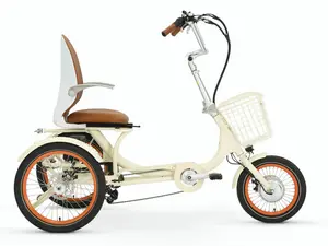 Simple Glide 500W Recumbent E Trike OPEN BOX RETURN