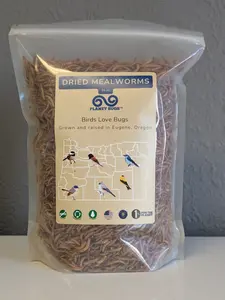 Dried Mealworms