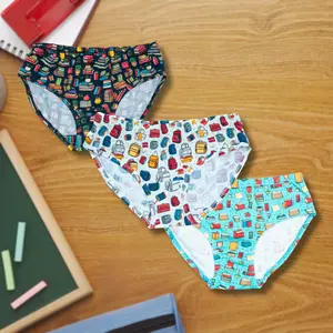 School Fun Adults Underwear- 3 Pack