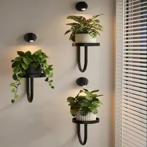 3-Piece Wall Plant Stand Set, Indoor Plant Holder, Hanging Planter Rack, Window Sill Plant Shelf, Room Decor, Gardening Accessories