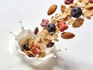 Original Flavor Granola with Delicious Crunchy Freeze-Dried Fruits- Strawberries, Figs, Blueberries, Mangos, Peaches, Apples,  almonds, Coconut Flakes, Dried Yogurt Bites⋯⋯