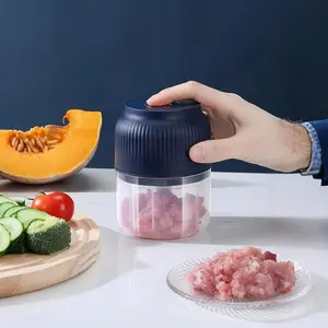 BloomBits Electric Garlic Chopper - 300ML Mini Portable Veggie Chopper & Garlic Grinder, Cordless Food Processor with Stainless Steel Blades, Rechargeable Onion Masher & Blender for Ginger, Chili, Fruit, Meat & Spices