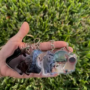 Cat meme keychain - price is per keychain