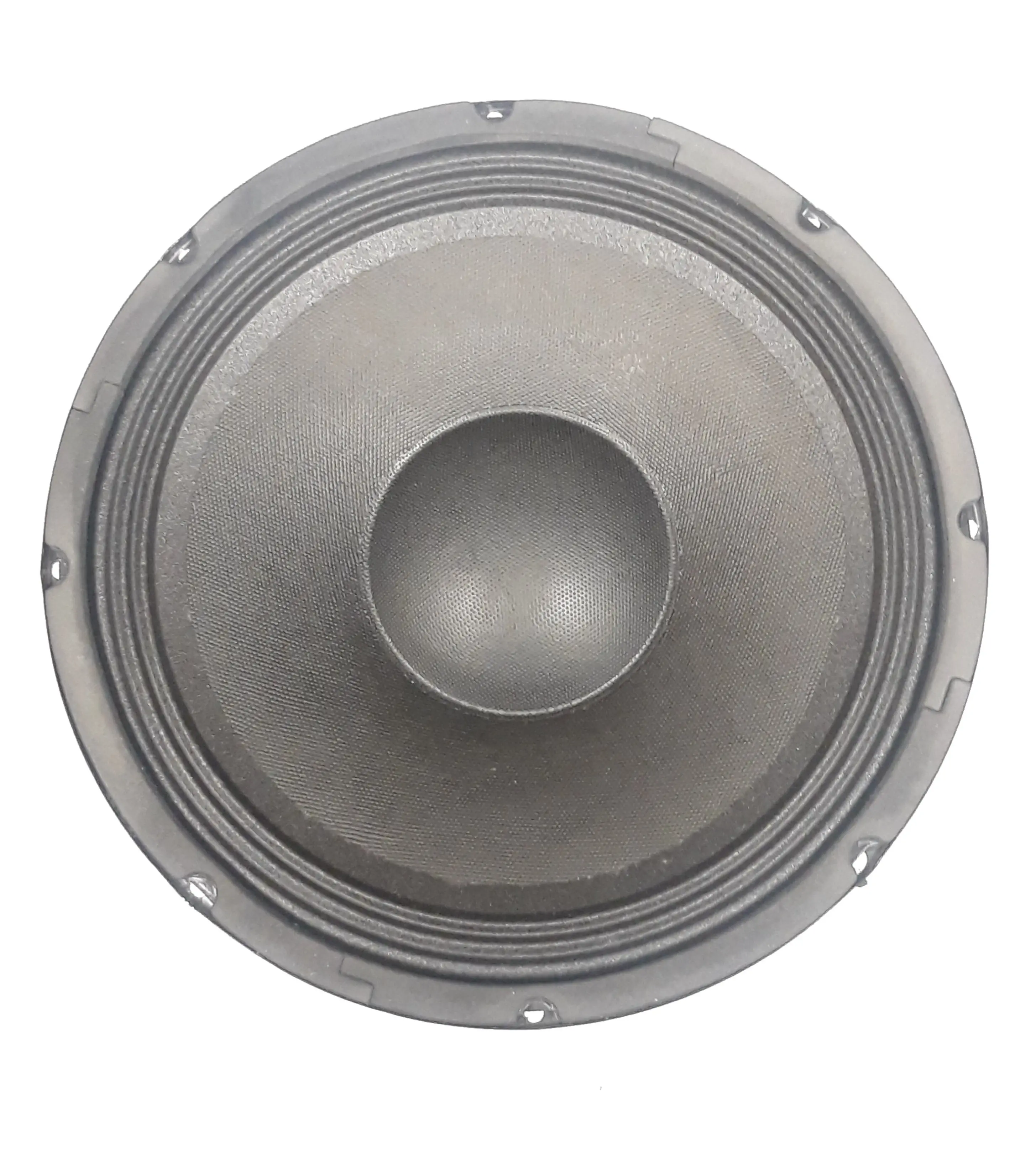 10" Raw Subwoofer for RPG2x10