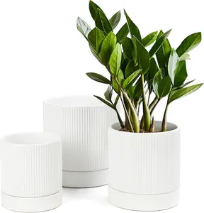 3 Pack Ceramic Plant Pots 6/5/4 inch, Flowerpot for Indoor Plants with Drainage Holes and Tray