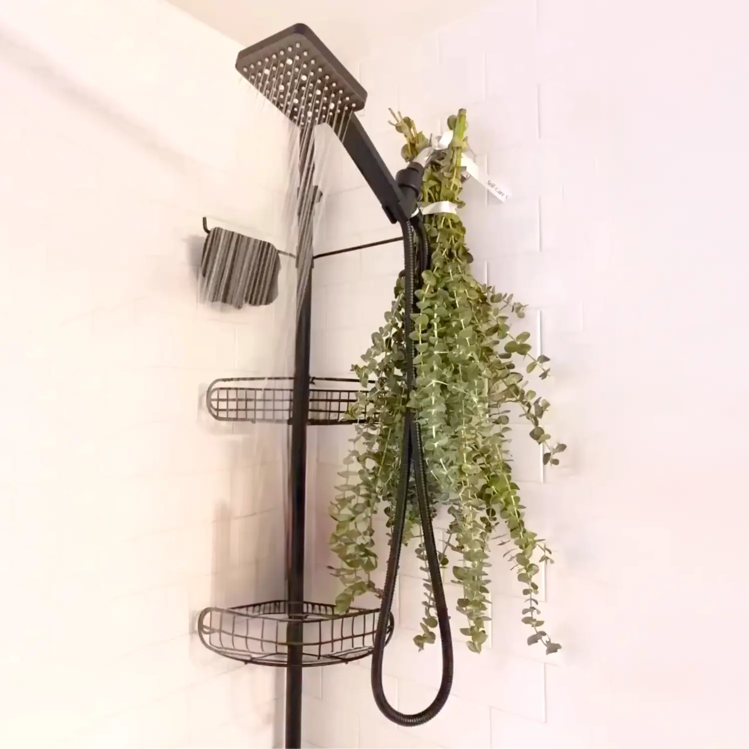 Eucalyptus Shower by Self Care Shower | Grown In San Diego California | Bouquet For Shower Or Vase Accessories