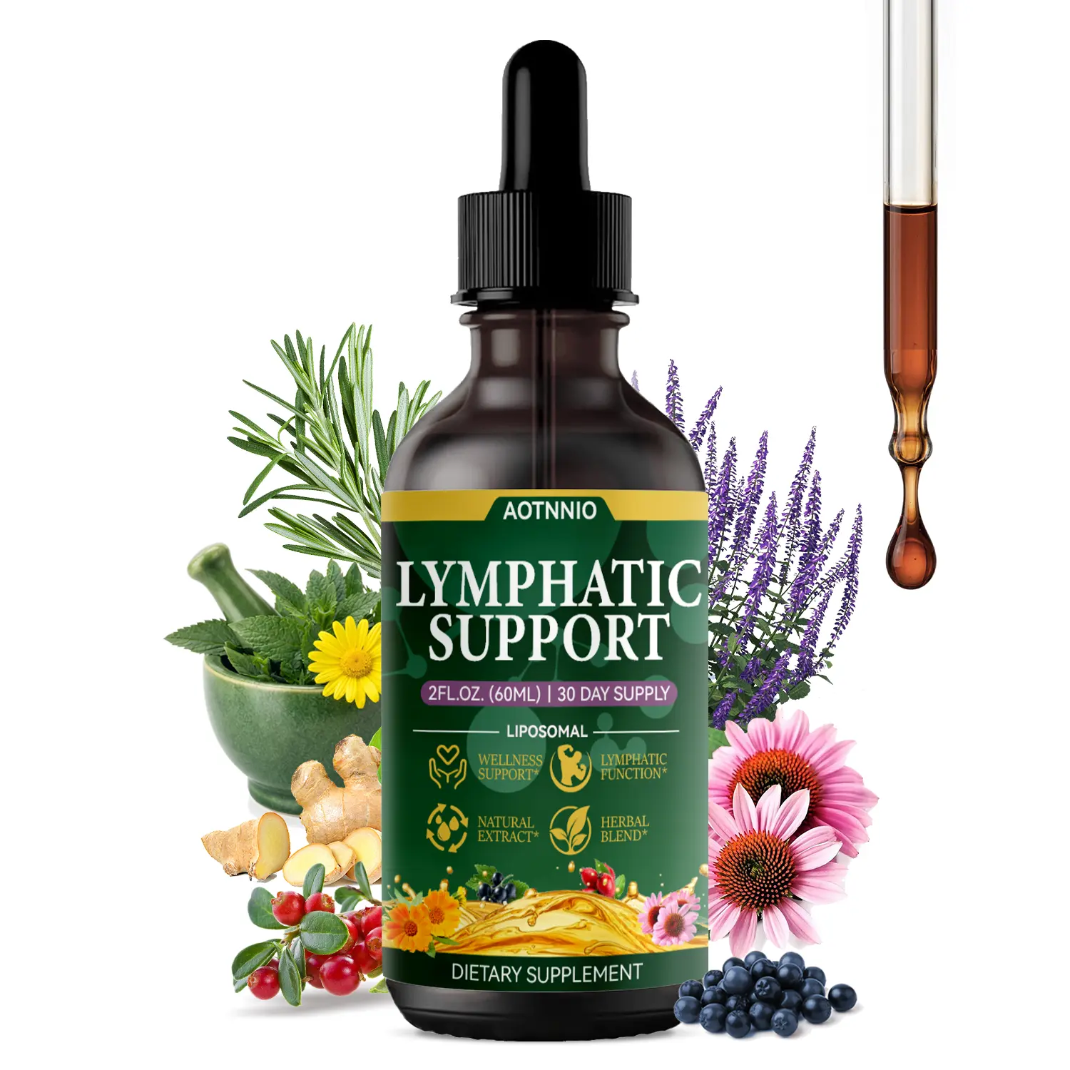 11-in-1 Lymphatic Support Liquid Drops | Supports Cleansing, Immune System & Self Care | Echinacea Purpurea Root, European Elderberry, Plantain Leaf, Blue Vervain, Yarrow Flower & Thyme Leaf | 2 FL OZ