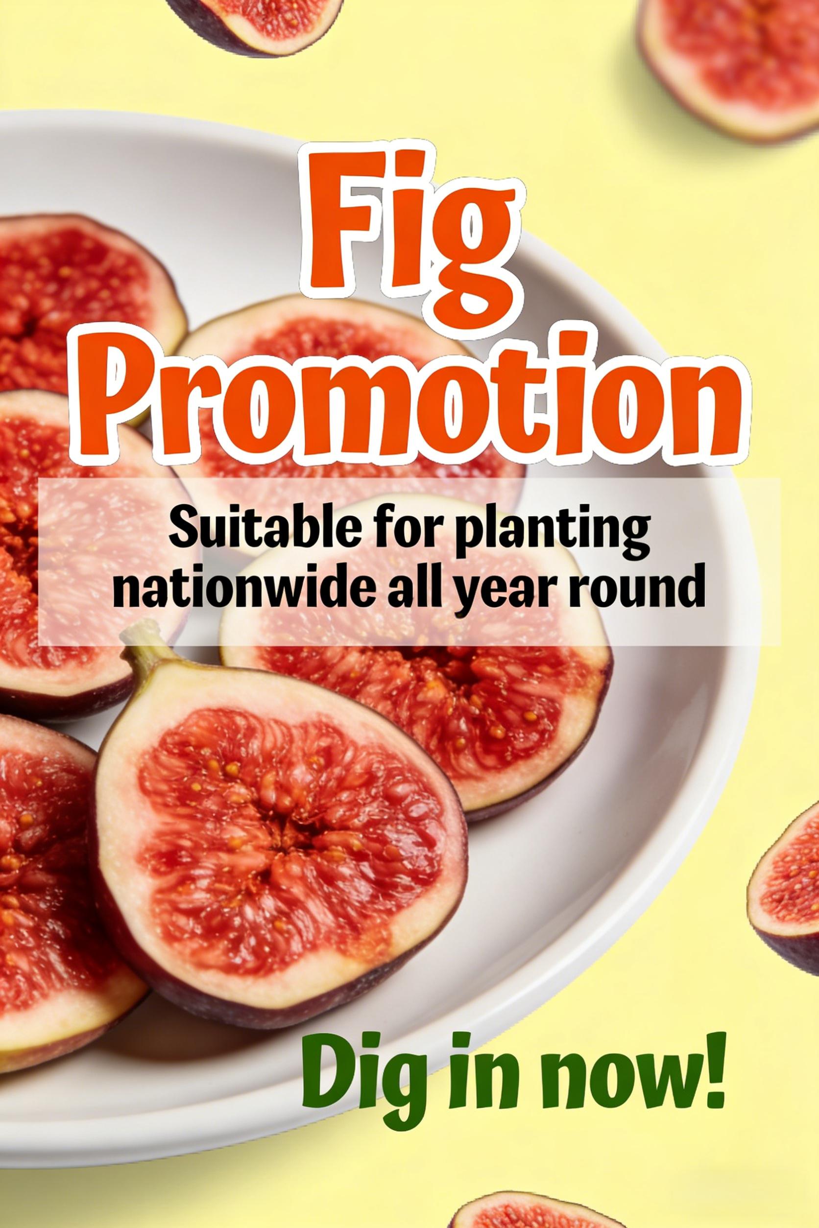 Heirloom Non-GMO Fig Tree Live Seedling – Fast Growing Perennial Fruit Tree for Outdoor Garden, Patio, Container & Yard, Easy to Grow, Great for Beginners & Home Orchard