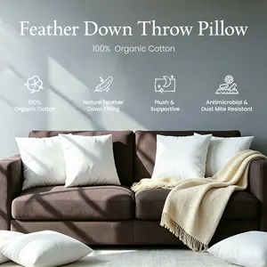 APSMILE Memory Feather sofa Pillow Insert 100% Cotton Shell Back Support Cushion, Soft Decorative Lumbar Pillow Insert for Living Room Sofa, Couch summervibe