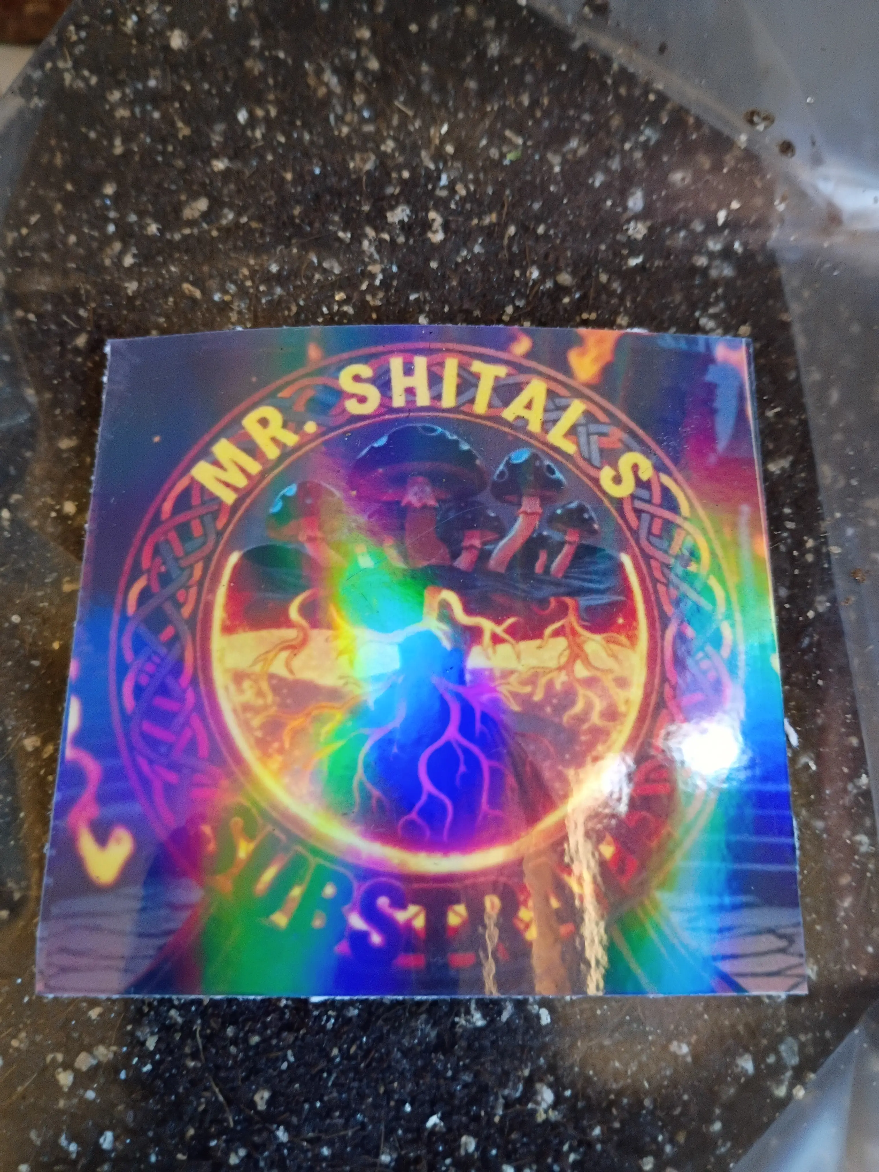 Mr.Shitals