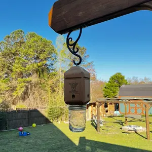 Carpenter bee trap