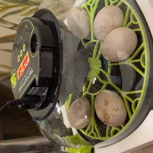 Incubators for Hatching Eggs 12 Egg Incubator with Automatic Egg Turning and Humidity Control,Egg Candler,Auto Water Replenishment, M12H