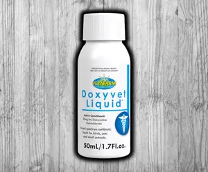 Doxyvet Liquid Bird Healthcare Solution, 50ml for Pigeons and Pet Birds