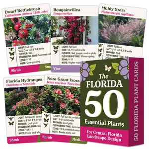 The Florida 50 Essential Plants Card Deck for Central Florida Landscape Design