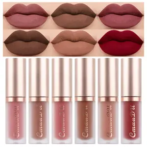 6Pcs Dark Light Brown Matte Liquid Lipstick Lip Gloss Glossy Set for Black Women 24 Hour Nude Pink Mauve Red Maroon Silky Velvet Lipstick labiales matte larga duracion mate 24 horas originales