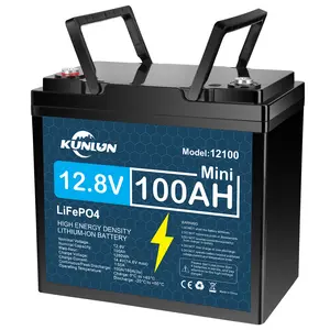 12V 100Ah LiFePO4 Deep Cycle Rechargeable Lithium Battery,, Built-in BMS, Over 5000 Life Cycles，Backup Power Perfect for Off-Grid Home Energy Storage-Core Series, Maintenance-Free