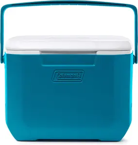 Chiller Series 16qt Insulated Portable Cooler, Hard Cooler with Heavy Duty Handle & Ice Retention, Great for Beach, Picnic, Camping, Tailgating, Groceries, Boating, & More