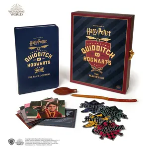 Harry Potter Quidditch at Hogwarts by Donald Lemke