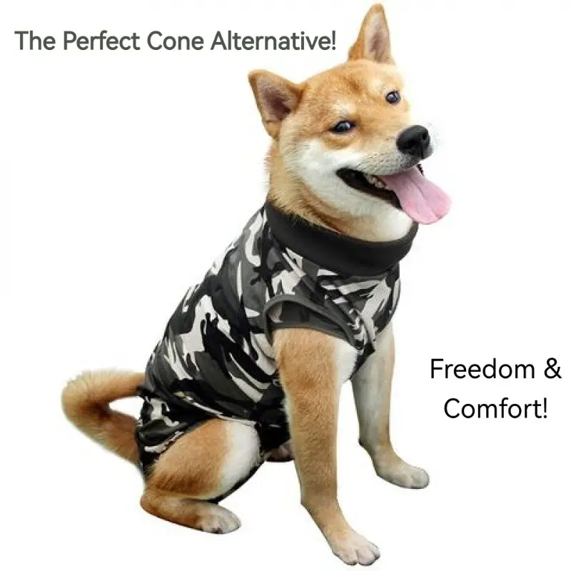 Dog Recovery Suit | Cone of Shame Alternative | Spay Neuter Surgical Onesie | Breathable Anti-Licking Shirt for Abdominal Wounds