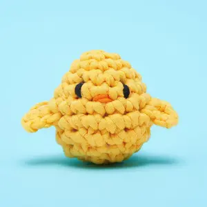 Poquita Chickita Crochet Accessory Kit by The Woobles
