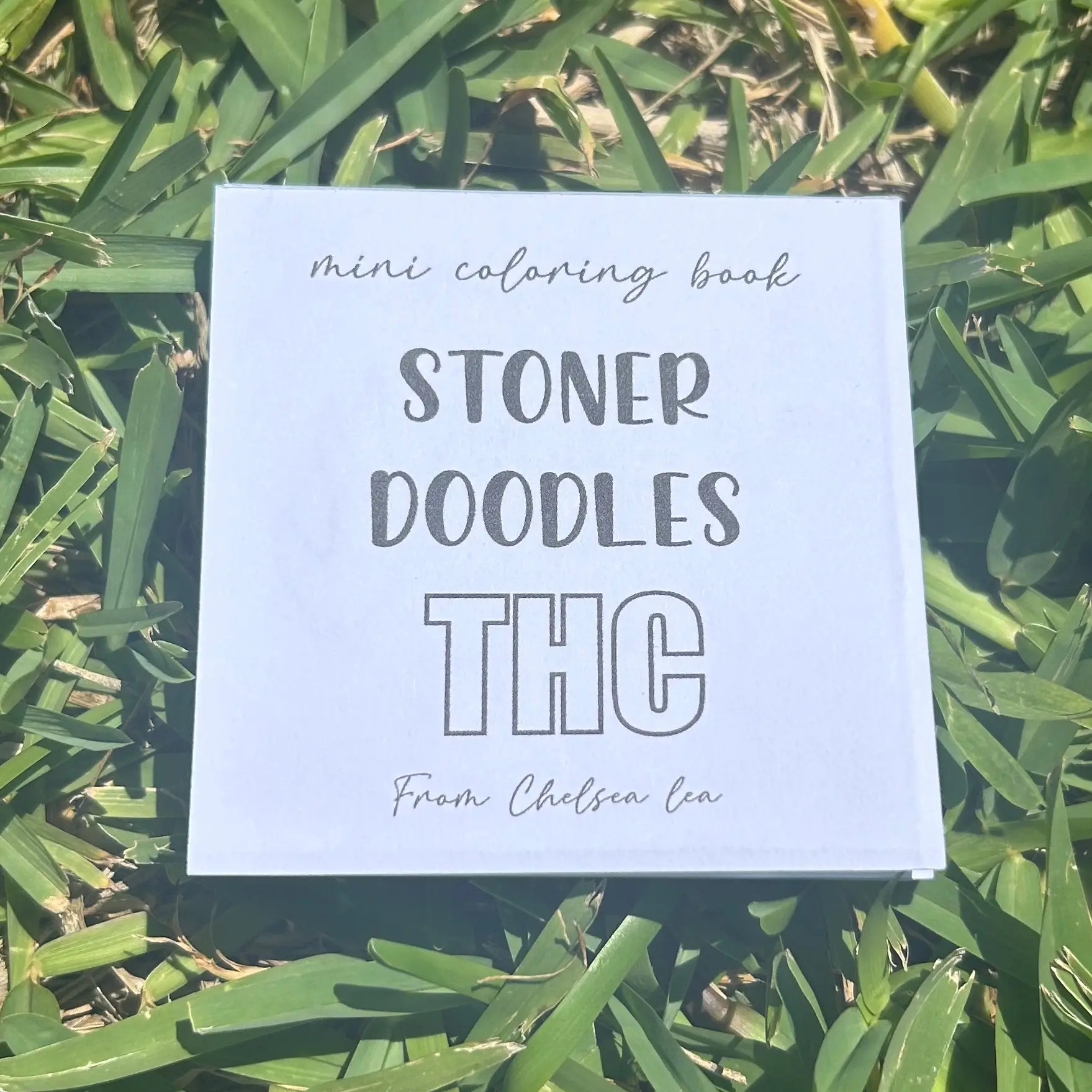 Stoner Doodle mini coloring book for adults