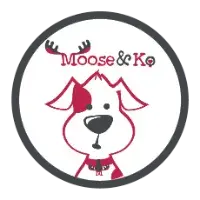 background preload poster image 