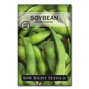Chiba Green Soy Bean Seeds