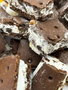 Freeze Dried Chocolate Chip Ice Cream Sandwich