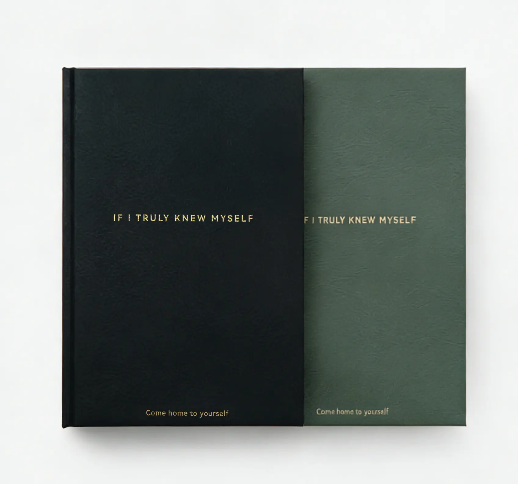 If I Truly Knew Myself Journal - A Daily Undated Journal for Emotional Healing, Self-Reflection & Self-Love A Hardcover Guided Journal for Shadow Work, Forgiveness & Personal Growth For Men & Women · 2026 — Come Back to Yourself