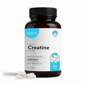 Creatine Monohydrate Capsules 3000mg – Creatine Supplement for Muscle Strength, Power & Energy Support, 120 Easy-to-Swallow Capsules