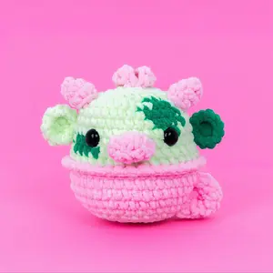 Moocha Kit